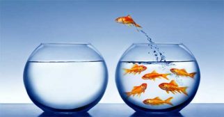 what-challenges-that-chartered-accountant-students-facing-in-india-survey-by-aftergraduation-ca-articleship-placement-stipend