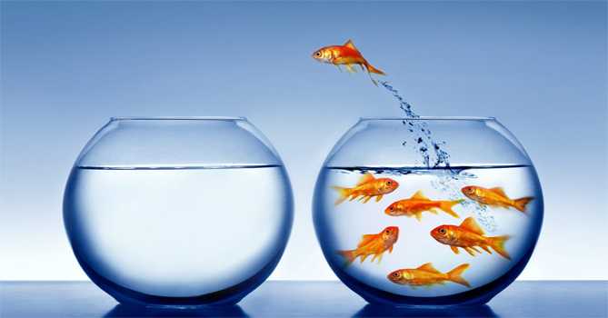 what-challenges-that-chartered-accountant-students-facing-in-india-survey-by-aftergraduation-ca-articleship-placement-stipend