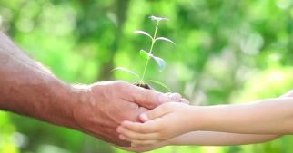 11-essential-admission-tips-indian-applicants-mba-in-usa