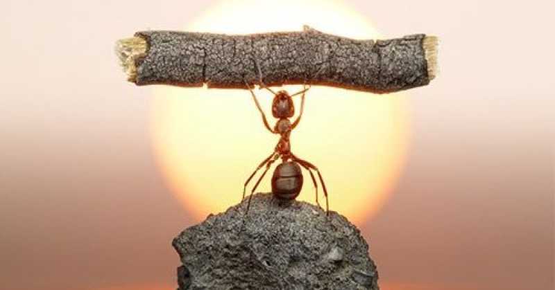 Real Strengths OR Pretend Strengths, What You Have and Deserve in your life to be successful?